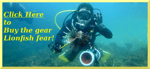 Lionfish Sprzęt Myśliwski