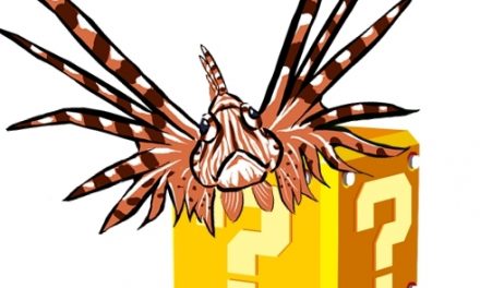 Lionfish Facts: The 10 Most Common Lionfish Myths Busted!