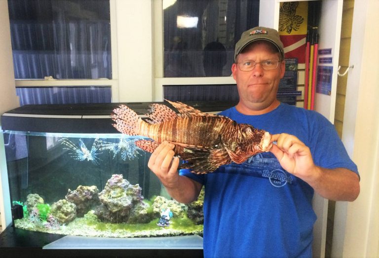 World Record Size Lionfish | What is the Largest Lionfish Ever Caught?