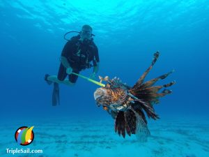 Lionfish Hunting in Cozumel Mexico