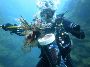 How to safely hunt lionfish