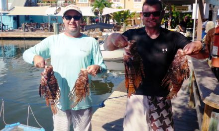8 best places to hunt lionfish on vacation