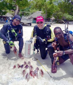 Cleaning up the lionfish at Couples Resorts in Jamaica